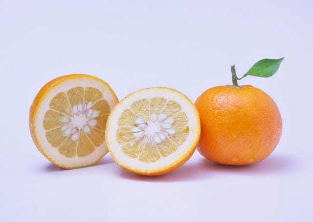 鏡餅に添えた橙の食べ方は？みかんとの違いや加工する方法･レシピ
