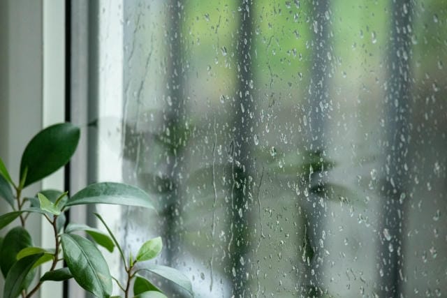 大掃除が雨の日だったらどうする？意外なメリットとやるべき場所